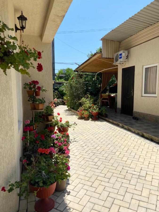 Уютный Дворик Sukhumi Exterior foto